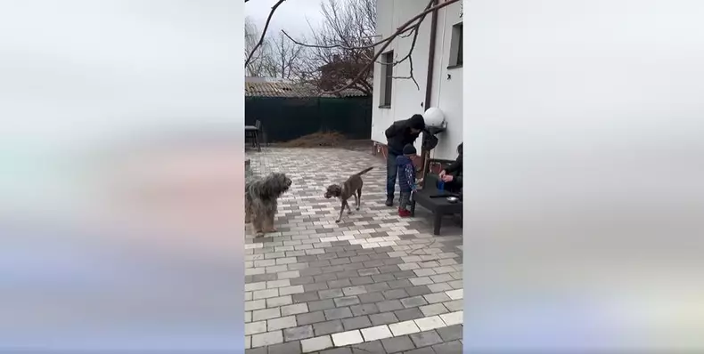 Cum arată casa de la țară a lui Oreste  (2)