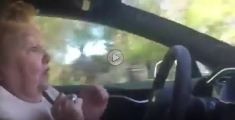 batranica tesla autopilot