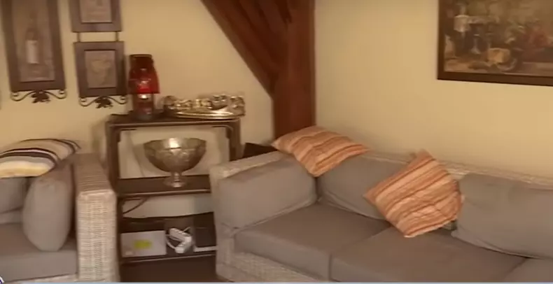 casa Mugur Mihăescu (4)