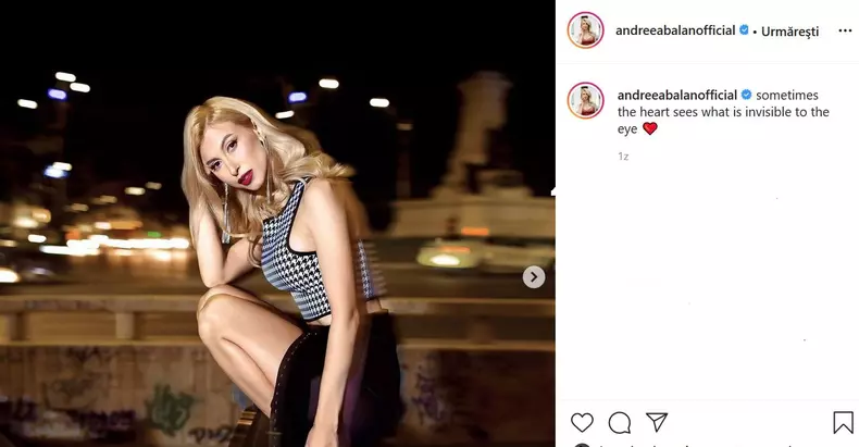 Andreea-Balan-George-Burcea-7