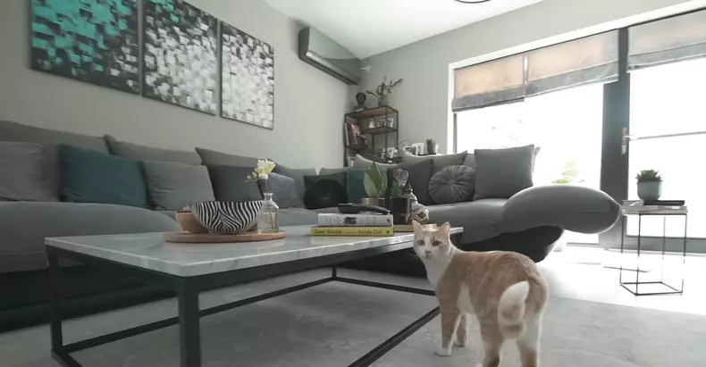 jojo-si-paul-ipate-casa-20