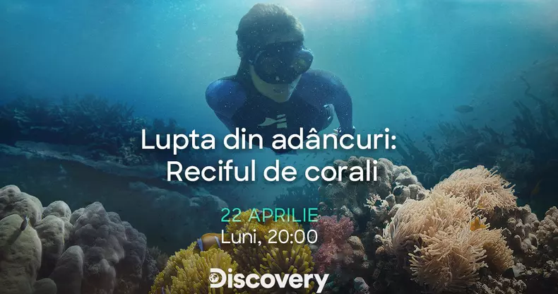 Lupta din adancuri Reciful de corali (5)
