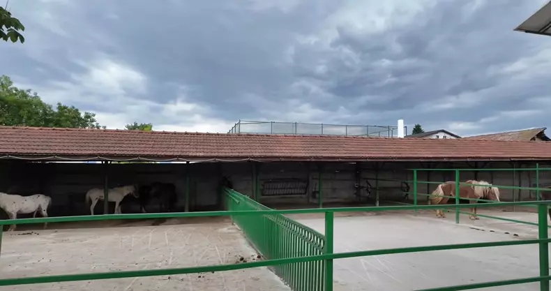 imagini casă Nuțu Cămătaru (21)