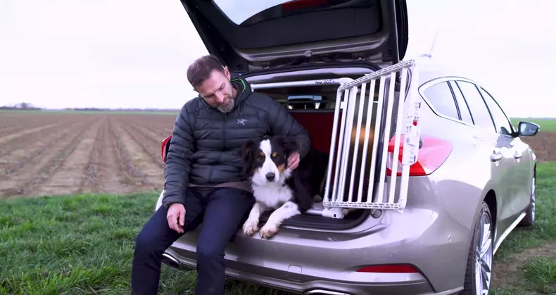 Noul Ford Focus a fost proiectat cu ajutorul unui cățel