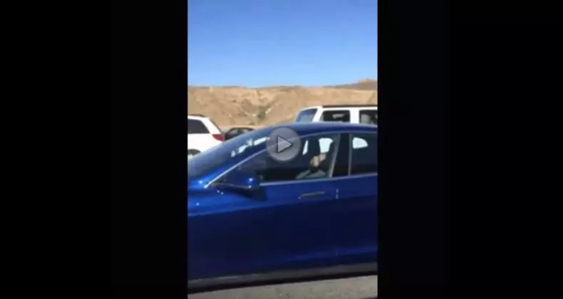 tesla model s doarme la volan