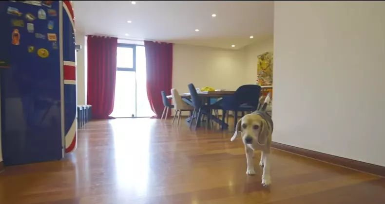 WhatsApp-Image-2021-09-28-at-17.07.15