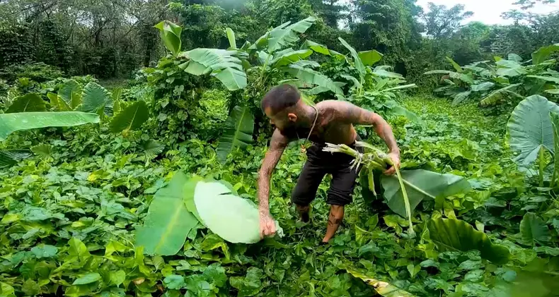 Zanni, la survivor all stars (4)