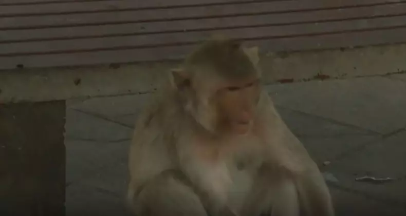 Concurenții au luptat pentru imunitate la Asia Express – 16 septembrie 2024  (8)