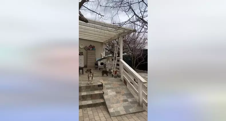 Cum arată casa de la țară a lui Oreste  (3)