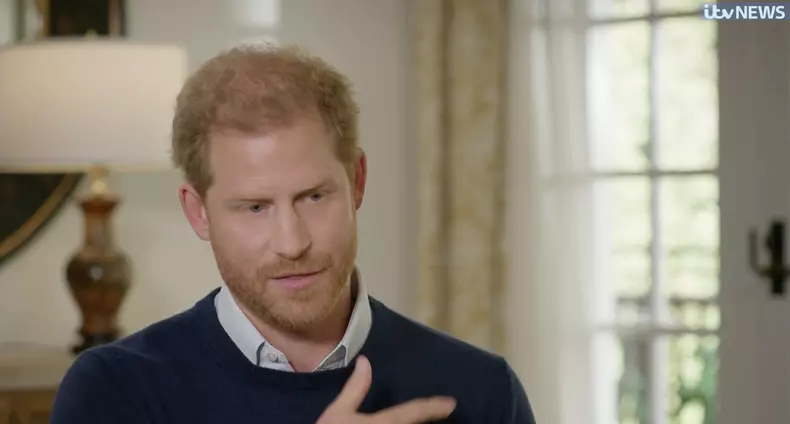 Prince Harry talks about brother William's red mist before alleged assault
