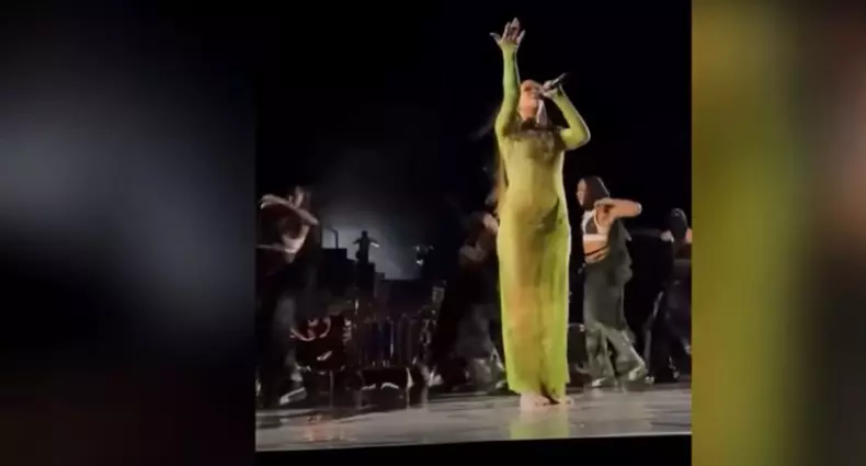 Rihanna, criticată dur după ce a cântat la petrecerea celui mai bogat om din India. Ce sumă enormă de bani a primit artista (1)