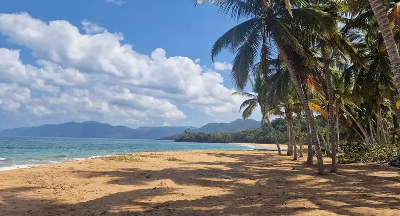 Insula-de-1-milion_Kanal-D