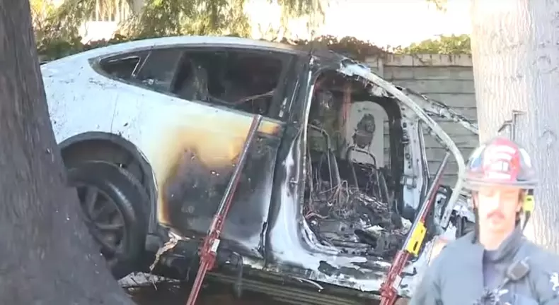 Accident grav: Un Tesla Model X a intrat într-un copac, apoi a luat foc