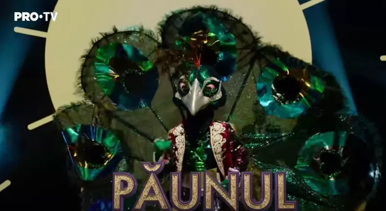 paunul-1