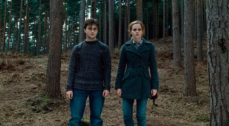 Harry Potter and the Deathly Hallows: Part I 2010
