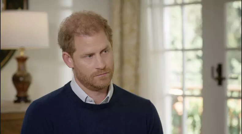 Prințul Harry a avut o pasiune pentru o actriță cunoscută 5