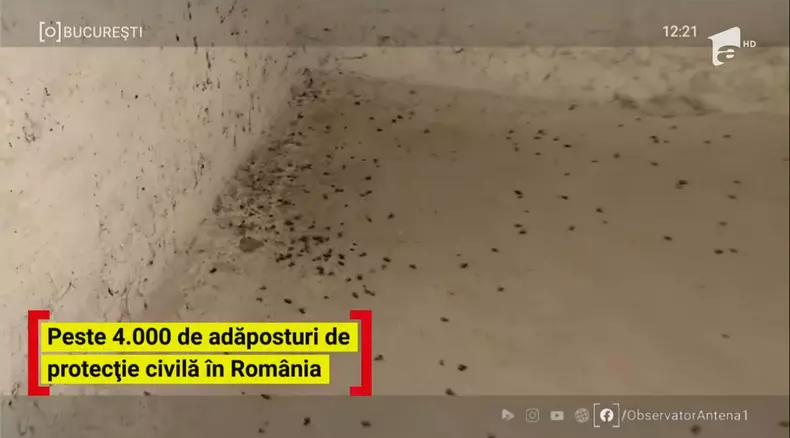 buncar-Bucuresti-7jpg