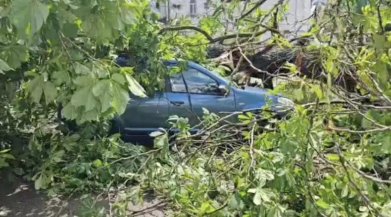 sfarsitul-lumii-in-sinaia-acoperisul-garii-a-fost-smuls-de-vijelie-si-aruncat-peste-dn1-copacii-rupti-sunt-purtati-de-apa-pe-strazi-987816