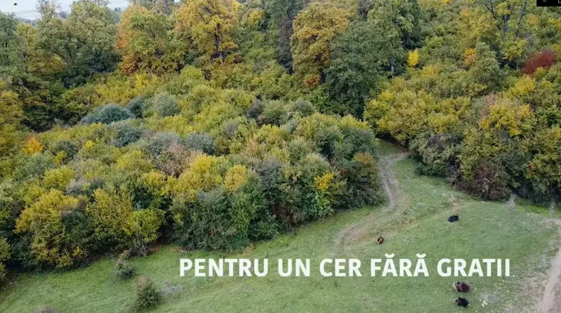 Pentru-un-cer-fara-gratii-Dosar-Romania
