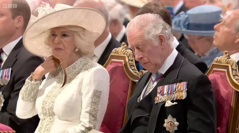 Camilla, detalii rare despre căsnicia ei cu prințul Charles