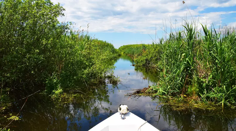 viva.-Delta-Dunarii.-Murighiol.-09.01-1-1