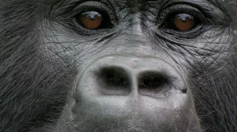 Premierele lunii noiembrie 2023 la National Geographic și National Geographic Wild