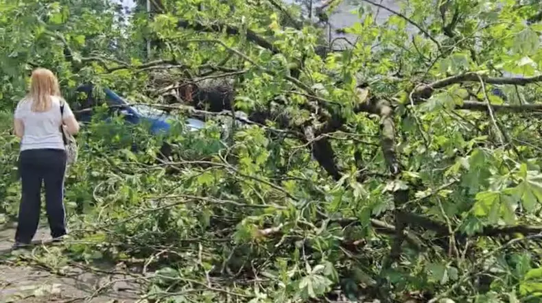 sfarsitul-lumii-in-sinaia-acoperisul-garii-a-fost-smuls-de-vijelie-si-aruncat-peste-dn1-copacii-rupti-sunt-purtati-de-apa-pe-strazi-987815