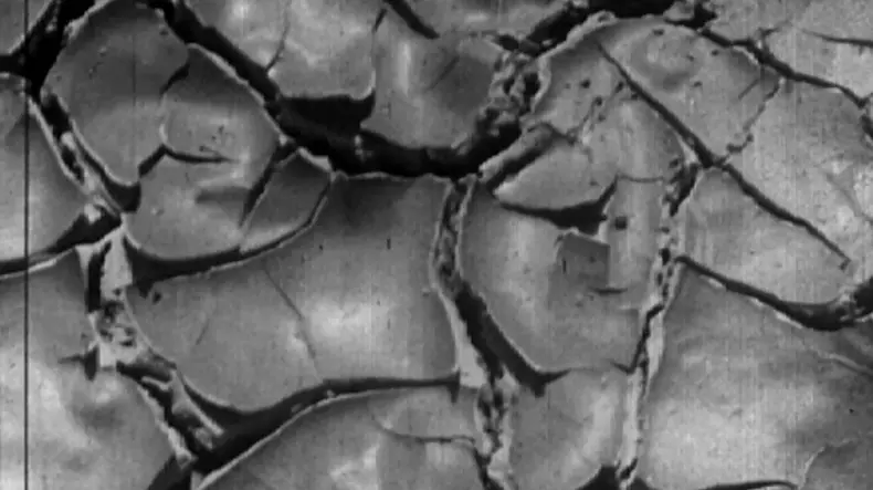 pamant crapat, uscat