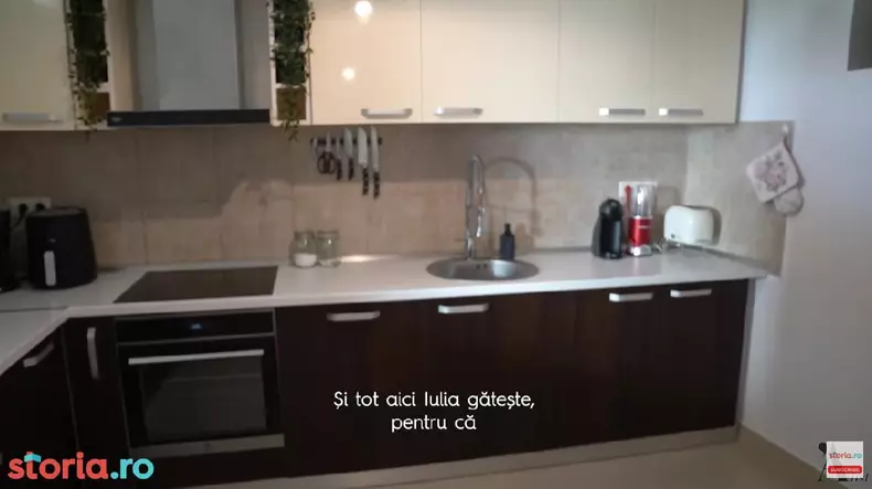 casa-Liviu-Teodorescu-2