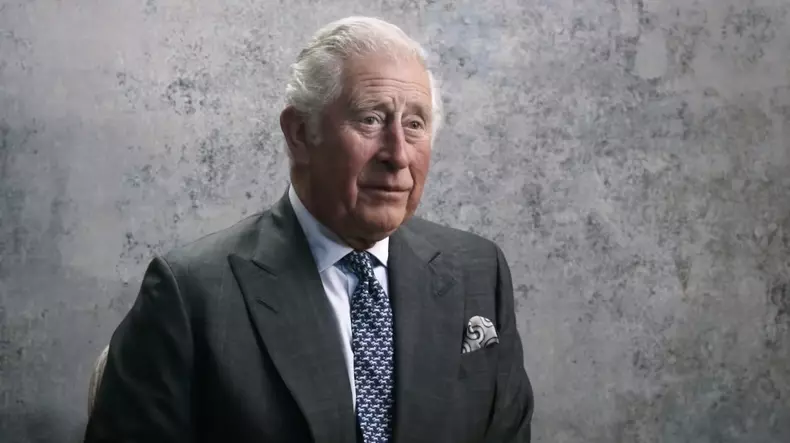 Royal fans  criticise Harry for Prince Philip tribute after Oprah interview