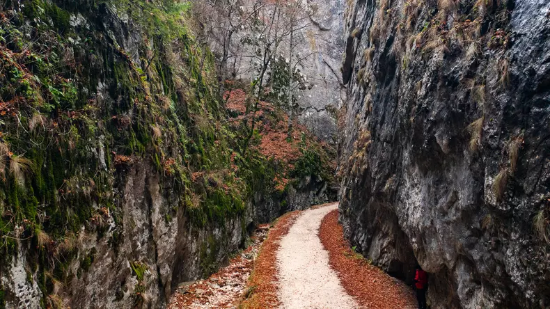 ROventura, 21 ianuarie 2023. Piatra Craiului, destinație de poveste