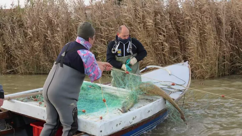 Braconieri fara frontiere - Romania, te iubesc (3)