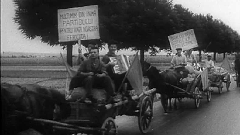 colectari cu veselie