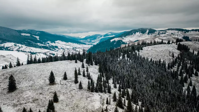 ROventura 13 februarie