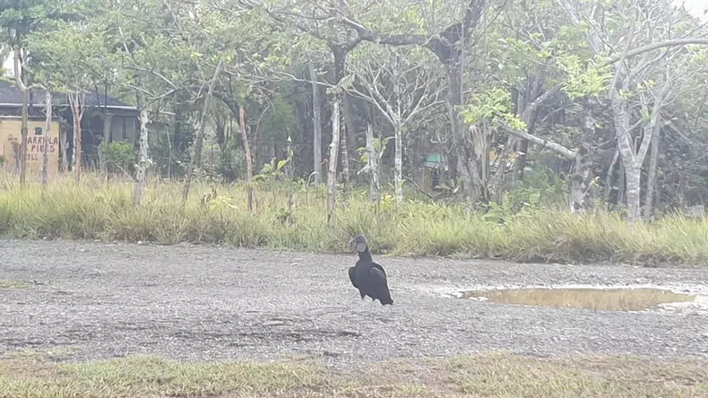 O nouă vacanță pentru Monica Tatoiu. Ce i-a plăcut în Panama (15)