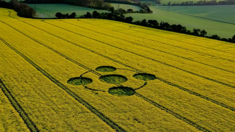 extraterestri-antici--sezonul-15-6