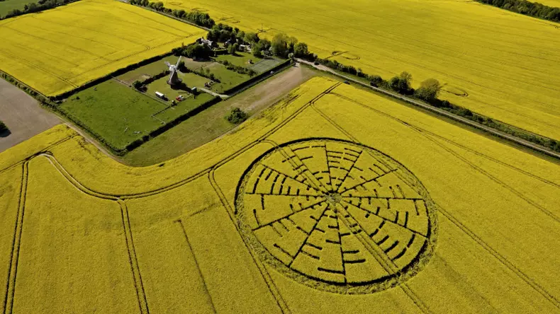 extraterestri-antici--sezonul-15-9