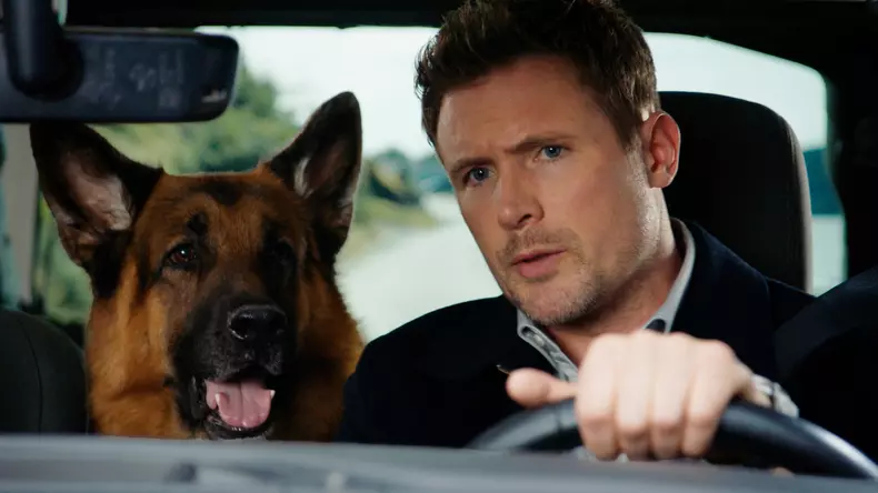 Hudson și Rex. Ce trebuie să știți despre eroul canin al serialului canadian de la TVR 2