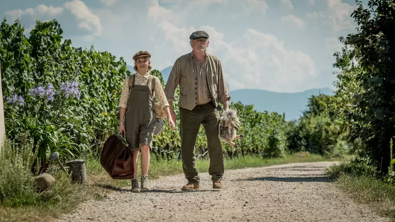 Head Full of Honey (2018) - filmstill