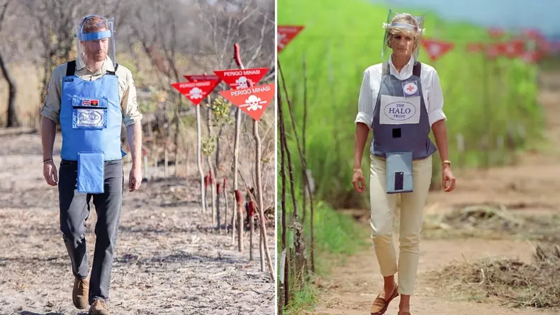 harry