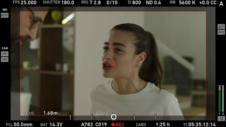 ana-bodea3