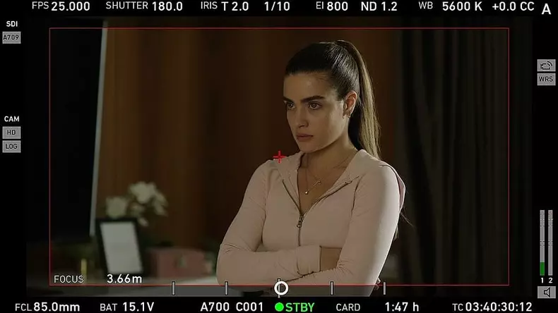 ana-bodea7