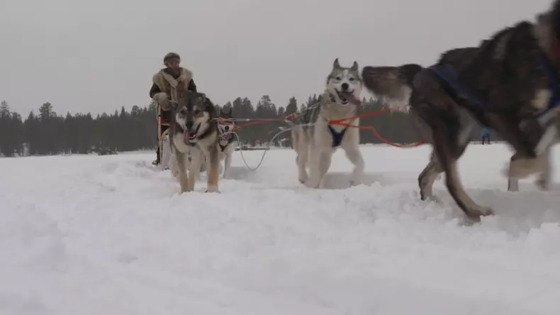 SEAT-Leon-Cupra-ST-AWD-with-300-horses-races-6-huskies