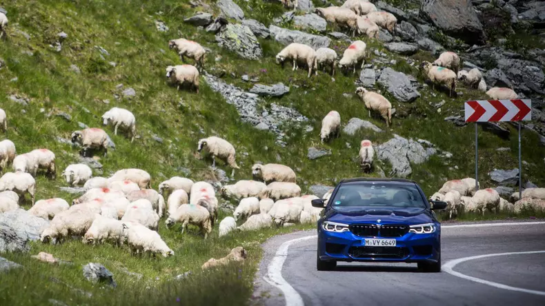 bmw-transfagarasan-neerpasch (19)