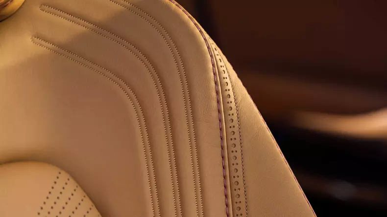 aston-martin-dbx-suv (15)