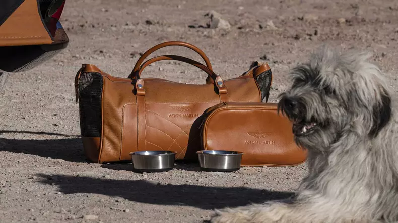 aston-martin-dbx-suv (20)