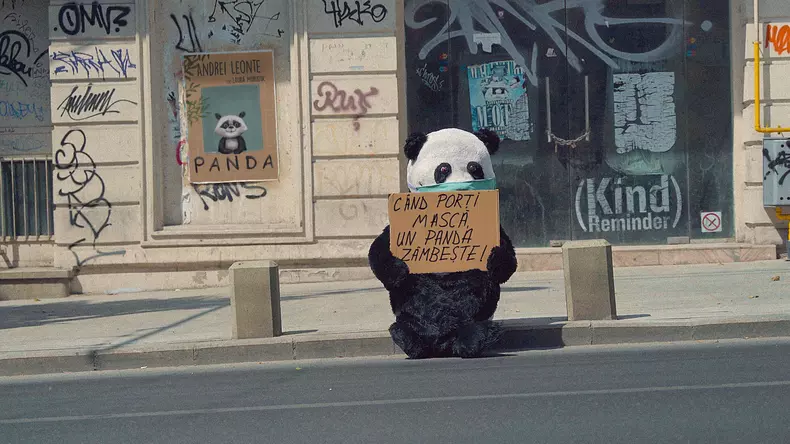 artwork panda kind reminder