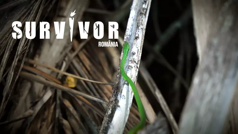 survivor-romania-la-pro-tv-4