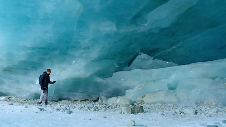 You vs. Wild