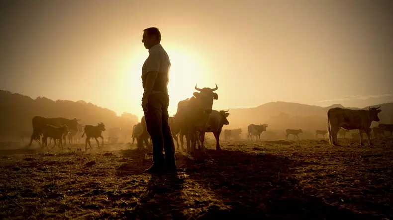 imagine film the carnivore's dilemma